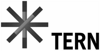TERN logo