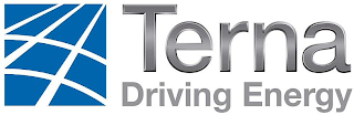 TERNA DRIVING ENERGY logo
