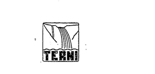 TERNI logo