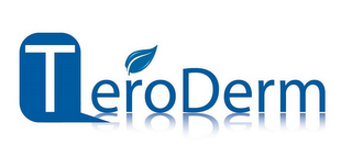 TERODERM logo