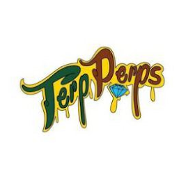 TERP PERPS logo