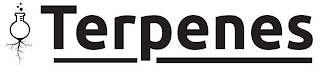 TERPENES logo
