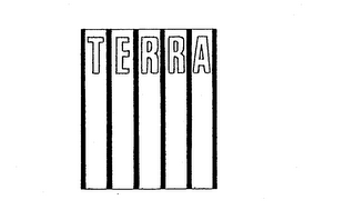 TERRA logo