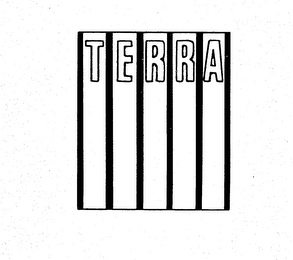 TERRA logo