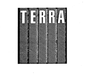 TERRA logo