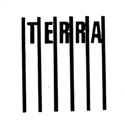 TERRA logo
