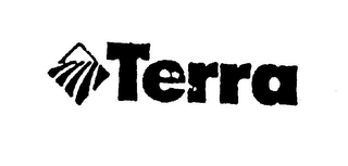 TERRA logo
