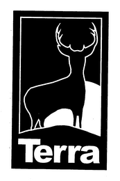 TERRA logo
