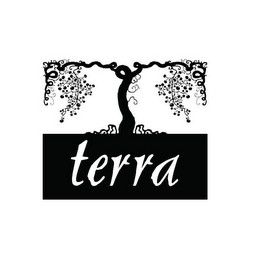 TERRA logo