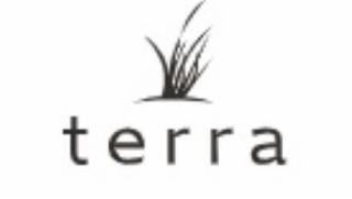 TERRA logo