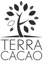 TERRA CACAO logo