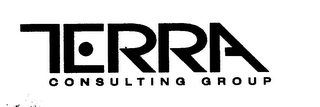 TERRA CONSULTING GROUP logo