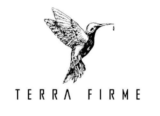 TERRA FIRME logo