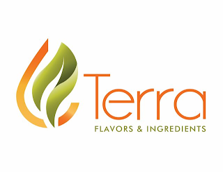 TERRA FLAVORS & INGREDIENTS logo