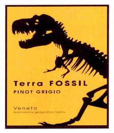 TERRA FOSSIL PINOT GRIGIO VENETO INDICAZIONE GEOGRAFICA TIPICA logo