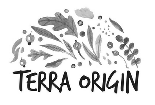 TERRA ORIGIN logo
