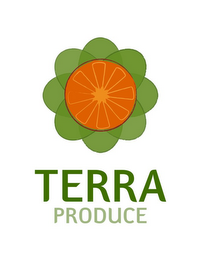 TERRA PRODUCE logo