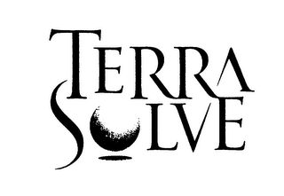 TERRA SOLVE logo