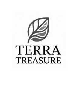 TERRA TREASURE logo