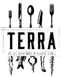 TERRA WOOD BURNING ITALIAN GRILL logo