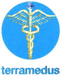 TERRAMEDUS logo