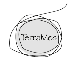 TERRAMES logo