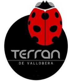 TERRAN DE VALLOBERA logo
