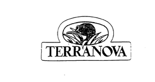 TERRANOVA logo