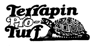 TERRAPIN PRO-TURF logo