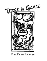 TERRE DE GLACE PURE FRUITS ICECREAM logo