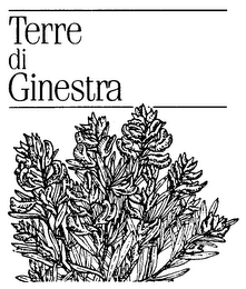 TERRE DI GINESTRA logo