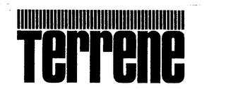 TERRENE logo