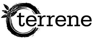 TERRENE logo