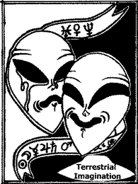 TERRESTRIAL IMAGINATION logo