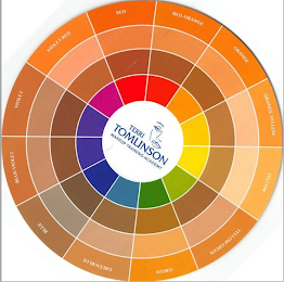 TERRI TOMLINSON MAKEUP TRAINING ACADEMY ORANGE ORANGE-YELLOW YELLOW YELLOW-GREEN GREEN GREEN-BLUE BLUE BLUE-VIOLET VIOLET VIOLET-RED RED RED-ORANGE logo
