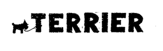 TERRIER logo
