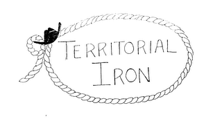 TERRITORIAL IRON logo