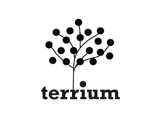 TERRIUM logo