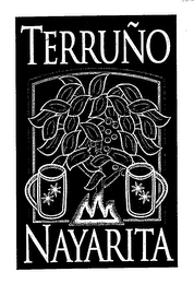 TERRUÑO NAYARITA logo