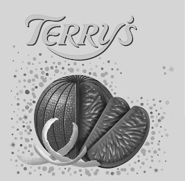 TERRY'S logo