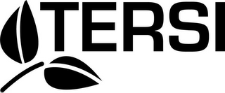 TERSI logo