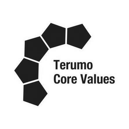 TERUMO CORE VALUES logo