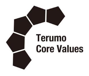 TERUMO CORE VALUES logo