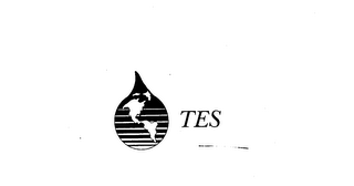TES logo