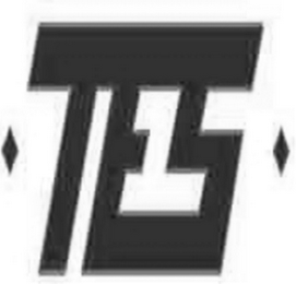 TES logo