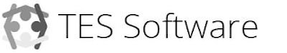 TES SOFTWARE logo