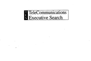 TES TELECOMMUNICATIONS EXECUTIVE SEARCH logo