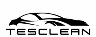 TESCLEAN logo
