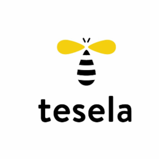 TESELA logo