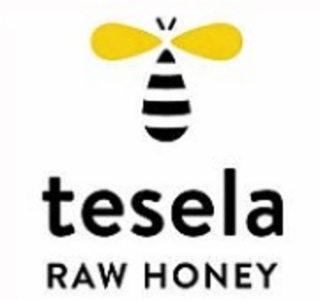 TESELA RAW HONEY logo